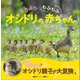 よちよち もふもふ オシドリの赤ちゃん （講談社） [電子書籍]