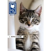 保護猫写真集 ねこっぱち！ （1） ＃かわいいは正義（アイデア出版） [電子書籍]