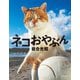 岩合光昭 写真集 「ネコおやぶん」（辰巳出版ebooks） [電子書籍]