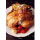 賛否両論 笠原将弘 超・鶏大事典（KADOKAWA） [電子書籍]