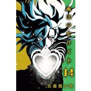 魔法少女サイト 14（秋田書店） [電子書籍]