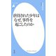 虐待された少年はなぜ、事件を起こしたのか（平凡社） [電子書籍]