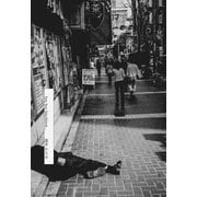 bye bye blackbird・・・（南雲堂） [電子書籍]