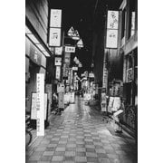 ラビットボールの切断（南雲堂） [電子書籍]