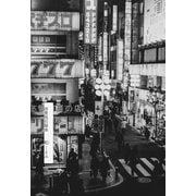 消費税狂騒曲（南雲堂） [電子書籍]