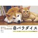 柴犬岳と茶トラ寅次朗の物語 岳パラダイス（天夢人） [電子書籍]