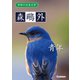 学研の日本文学 森鴎外 青年（学研） [電子書籍]