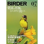 BIRDER(バーダー) 2019年7月号（文一総合出版） [電子書籍]