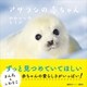 アザラシの赤ちゃん かわいいのヒミツ（講談社） [電子書籍]