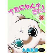 ちたにゃんがきた！5（秋水社ORIGINAL） [電子書籍]