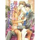 煌めくジュエリーデザイナー（幻冬舎コミックス） [電子書籍]
