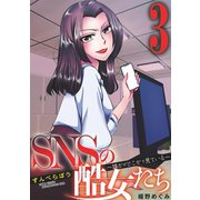 SNSの酷女たち 誰かがどこかで見ている 3（小学館） [電子書籍]