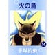 火の鳥 14（手塚プロダクション） [電子書籍]