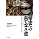 精密への果てなき道 シリンダーからナノメートルEUVチップへ（早川書房） [電子書籍]