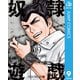 奴隷遊戯 9（集英社） [電子書籍]