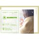 mammoth（マンモス） 39号（PAPERSKY） [電子書籍]