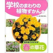 学校のまわりの植物ずかん 花の色でさがせる春の草花（ポプラ社） [電子書籍]