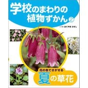 学校のまわりの植物ずかん 花の色でさがせる夏の草花（ポプラ社） [電子書籍]