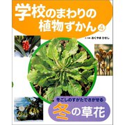 学校のまわりの植物ずかん 冬ごしのすがたでさがせる冬の草花（ポプラ社） [電子書籍]