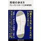 究極の歩き方（講談社） [電子書籍]