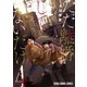 ただ離婚してないだけ（4）【電子限定おまけ付き】（白泉社） [電子書籍]