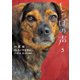 しっぽの声 5（小学館） [電子書籍]
