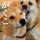 がくこ（辰巳出版ebooks） [電子書籍]