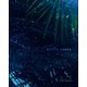 stella notes（小学館） [電子書籍]