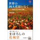 カラー版 世界の四大花園を行く―砂漠が生み出す奇跡（中央公論新社） [電子書籍]
