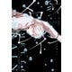メロウレイン ふったらどしゃぶり（新書館） [電子書籍]