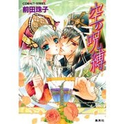 空の呪縛（集英社） [電子書籍]
