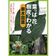 葉っぱ・花・樹皮でわかる 樹木図鑑（池田書店）（PHP研究所） [電子書籍]