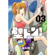壁ドン！ 3（小学館） [電子書籍]