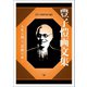 豊子ガイ画文集（幻冬舎メディアコンサルティング） [電子書籍]