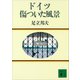 ドイツ 傷ついた風景（講談社） [電子書籍]