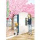 からかい上手の（元）高木さん 7（小学館） [電子書籍]