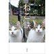 ねこ鉄 ～猫と鉄道の出会いの風景～（講談社） [電子書籍]