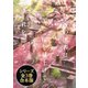 【合本版】最後の医者シリーズ（TOブックス） [電子書籍]