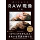 ポートレートRAW現像入門（玄光社） [電子書籍]