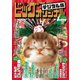 ビッグコミックオリジナル増刊 2020年1月増刊号（2019年12月12日発売）（小学館） [電子書籍]