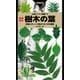 山溪ハンディ図鑑 14 増補改訂 樹木の葉 実物スキャンで見分ける1300種類（山と溪谷社） [電子書籍]