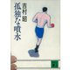 孤独な噴水（講談社） [電子書籍]