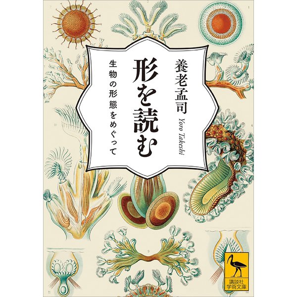 形を読む 生物の形態をめぐって（講談社） [電子書籍]