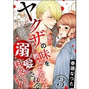 ヤクザの味を教えてやるよ って言われると思っていたら溺愛されて困惑しています！！（分冊版） 【第3話】（ぶんか社） [電子書籍]