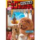 ビッグコミックオリジナル 2020年4号（2020年2月5日発売）（小学館） [電子書籍]