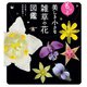 もっと美しき小さな雑草の花図鑑（山と溪谷社） [電子書籍]
