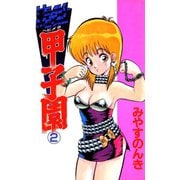 HEAVY METAL甲子園 2（ソルマーレ編集部） [電子書籍]