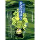 水辺の怪談3（つり人社） [電子書籍]