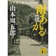 雨あがる 映画化作品集（講談社） [電子書籍]
