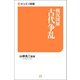 戦況図解 古代争乱（三栄） [電子書籍]